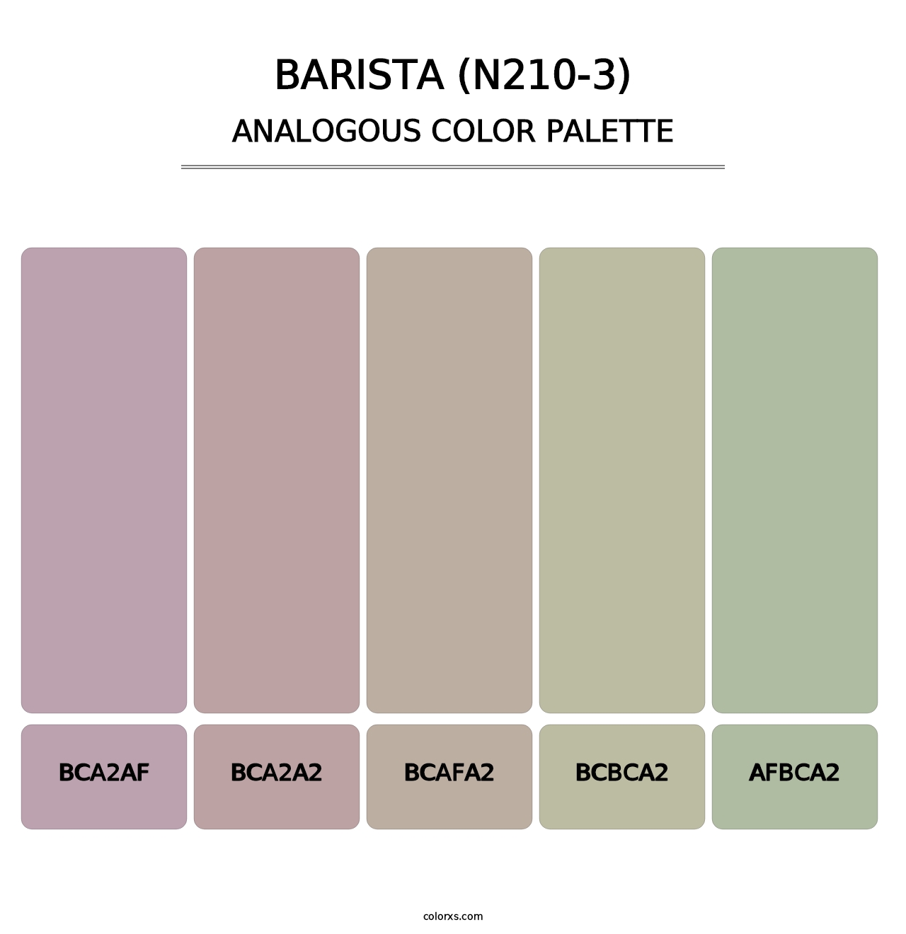 Barista (N210-3) - Analogous Color Palette