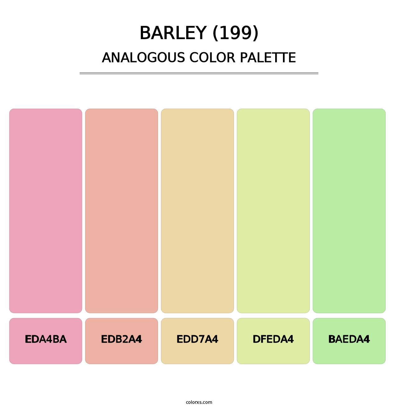 Barley (199) - Analogous Color Palette