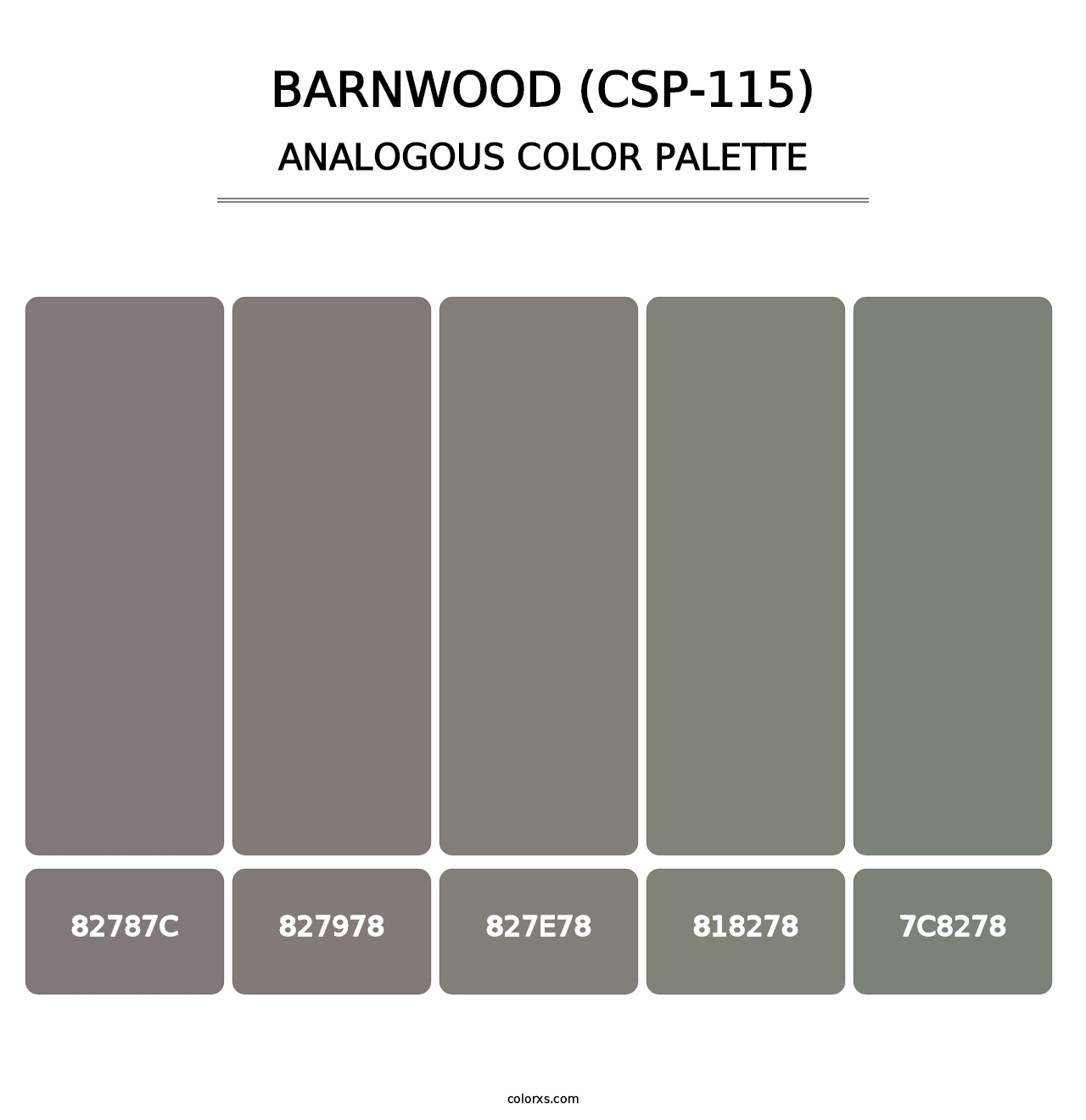 Barnwood (CSP-115) - Analogous Color Palette
