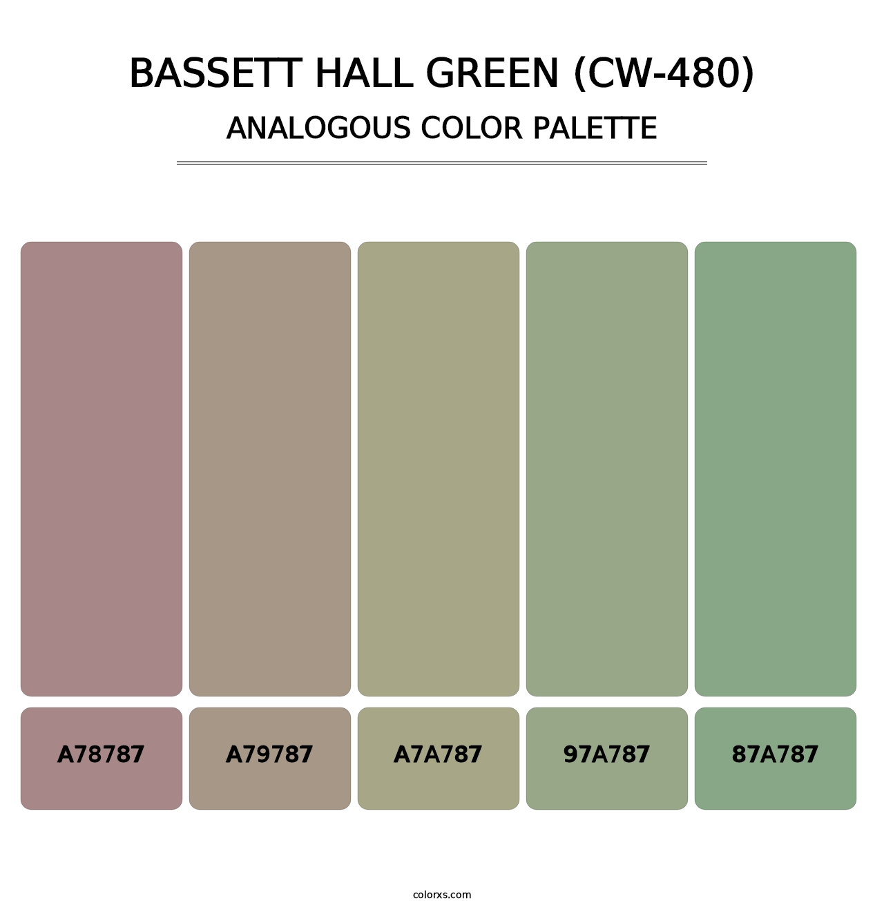 Bassett Hall Green (CW-480) - Analogous Color Palette