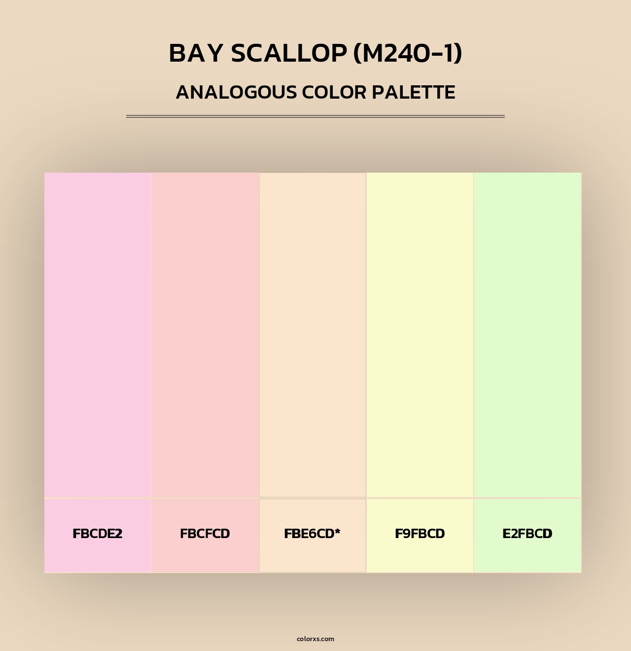 Bay Scallop (M240-1) - Analogous Color Palette