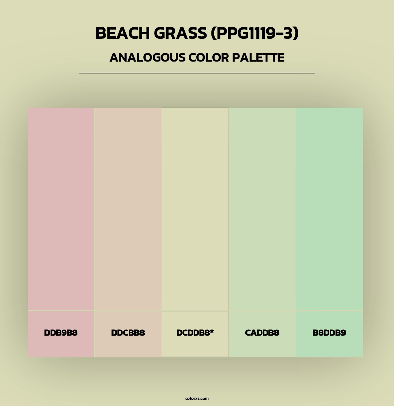 Beach Grass (PPG1119-3) - Analogous Color Palette