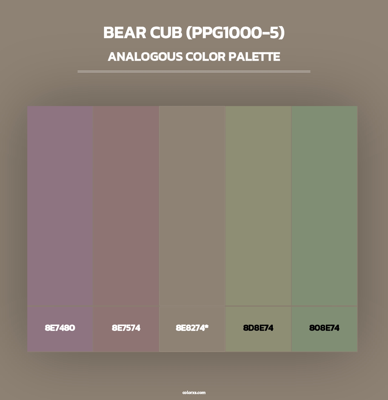Bear Cub (PPG1000-5) - Analogous Color Palette