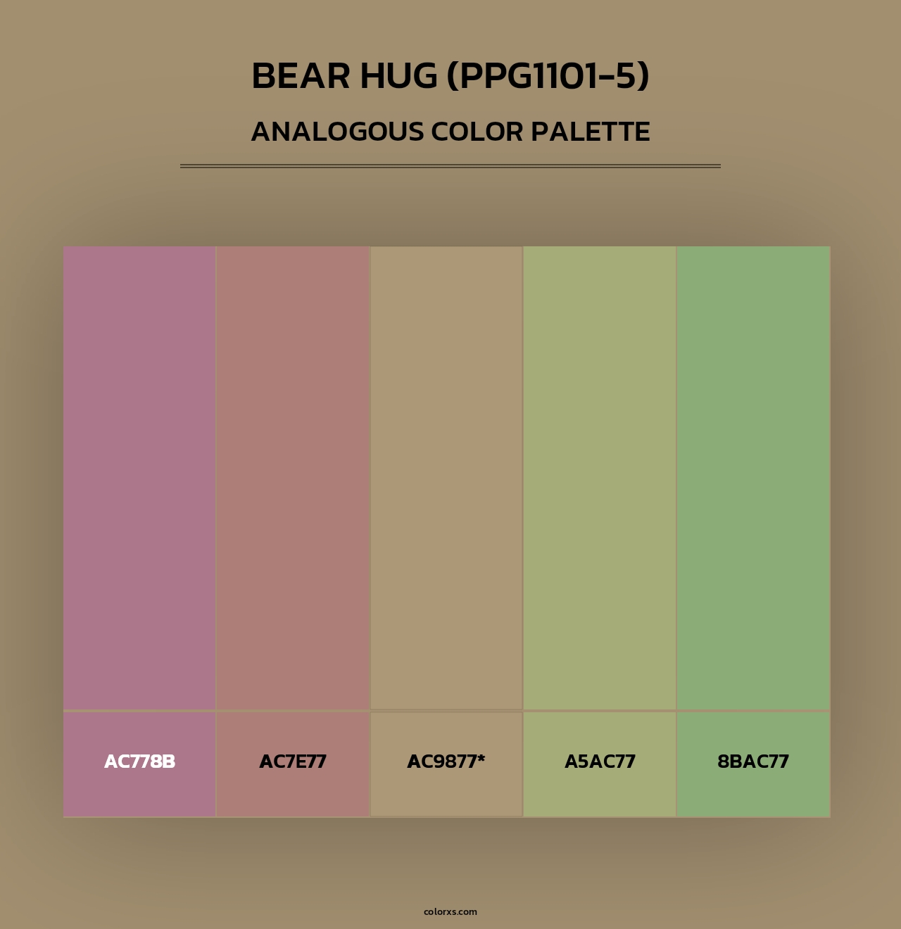 Bear Hug (PPG1101-5) - Analogous Color Palette