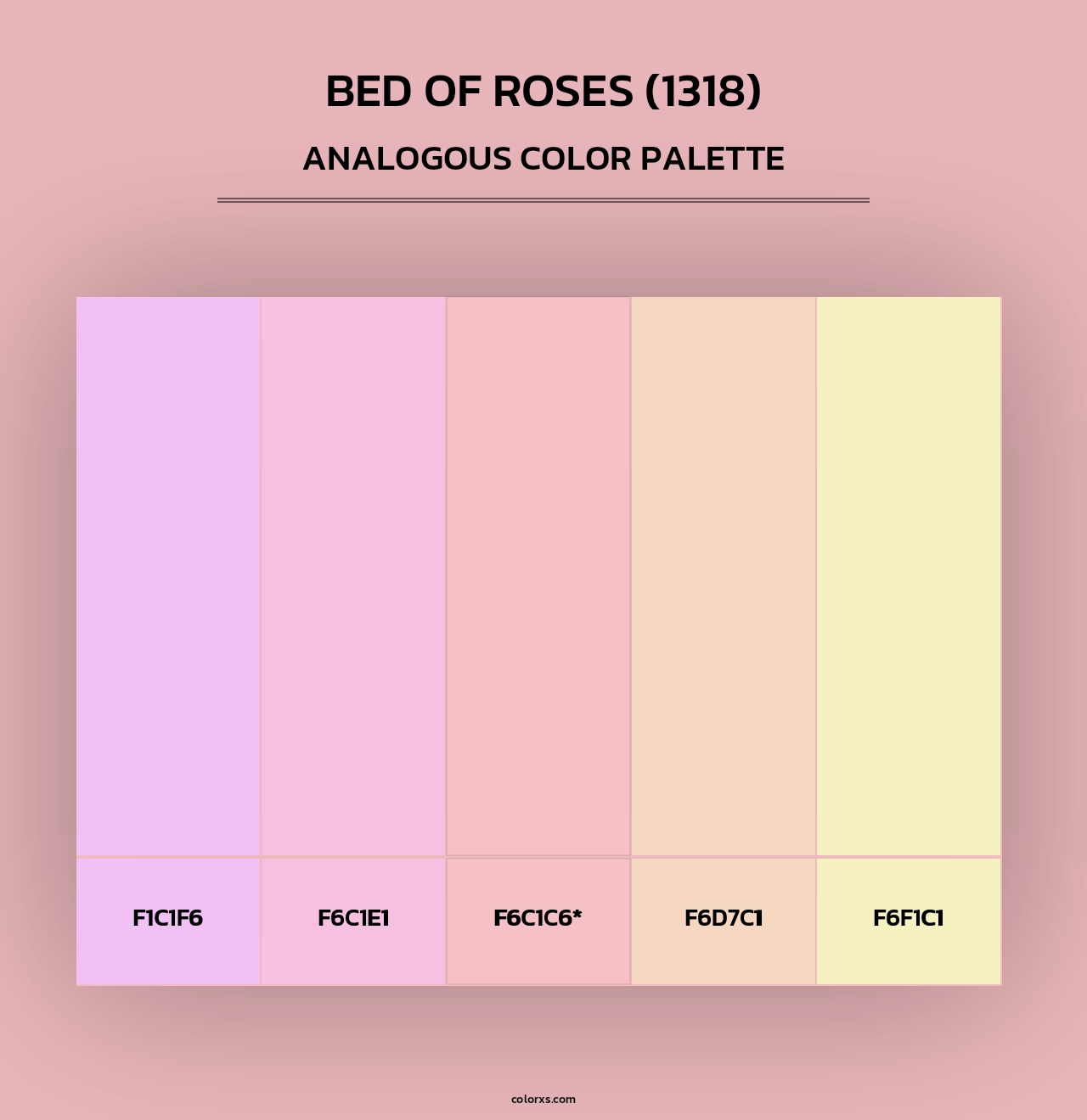 Bed of Roses (1318) - Analogous Color Palette