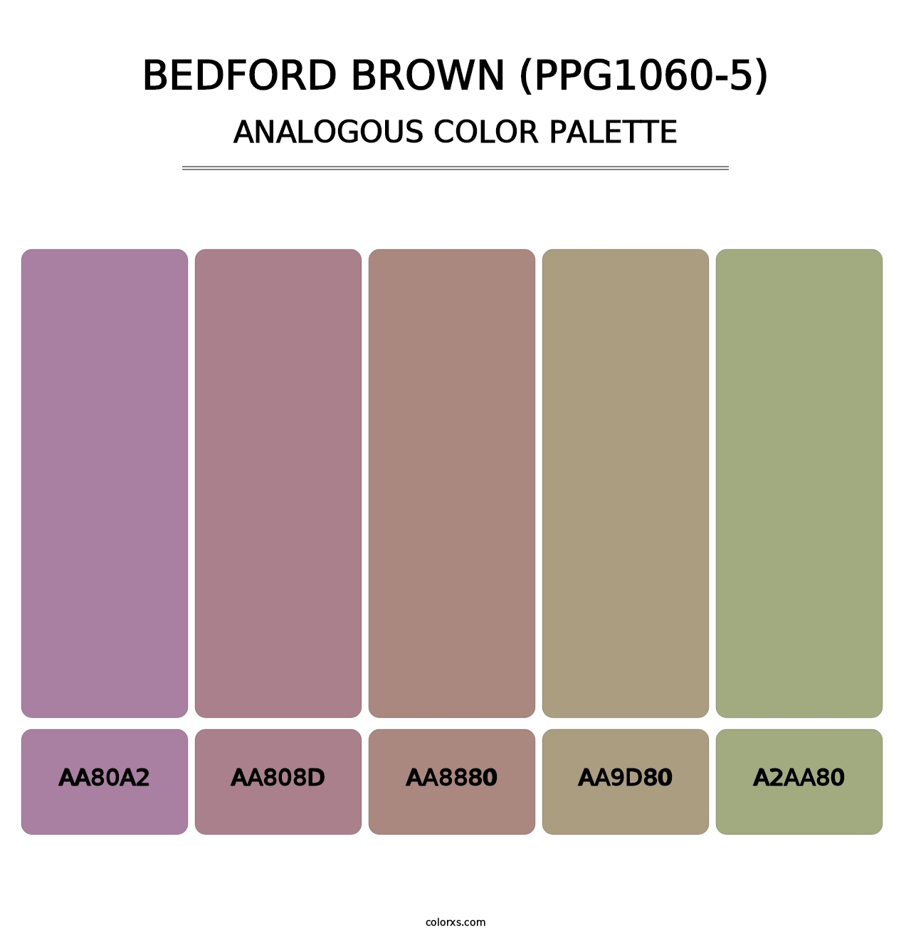 Bedford Brown (PPG1060-5) - Analogous Color Palette