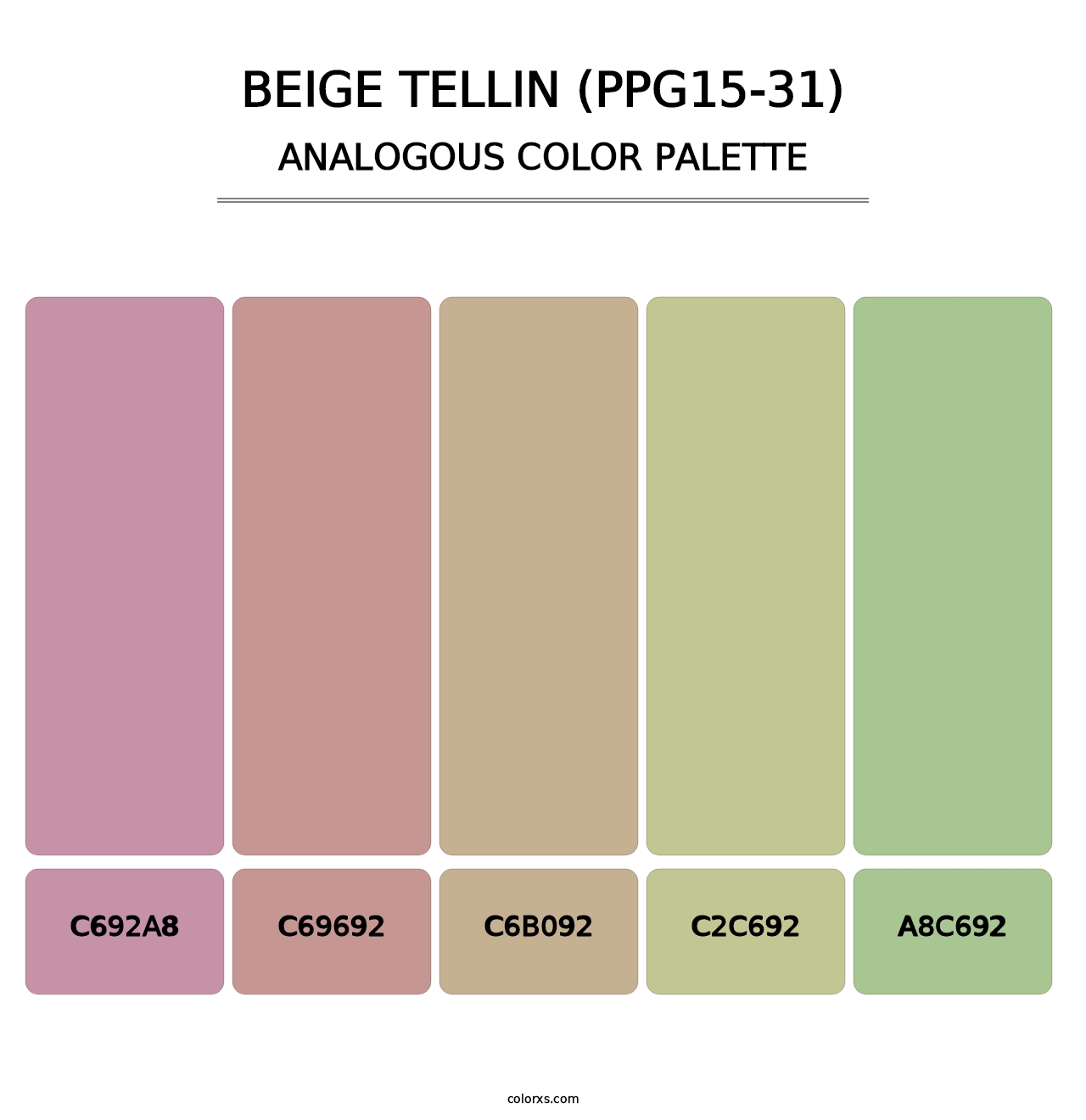 Beige Tellin (PPG15-31) - Analogous Color Palette