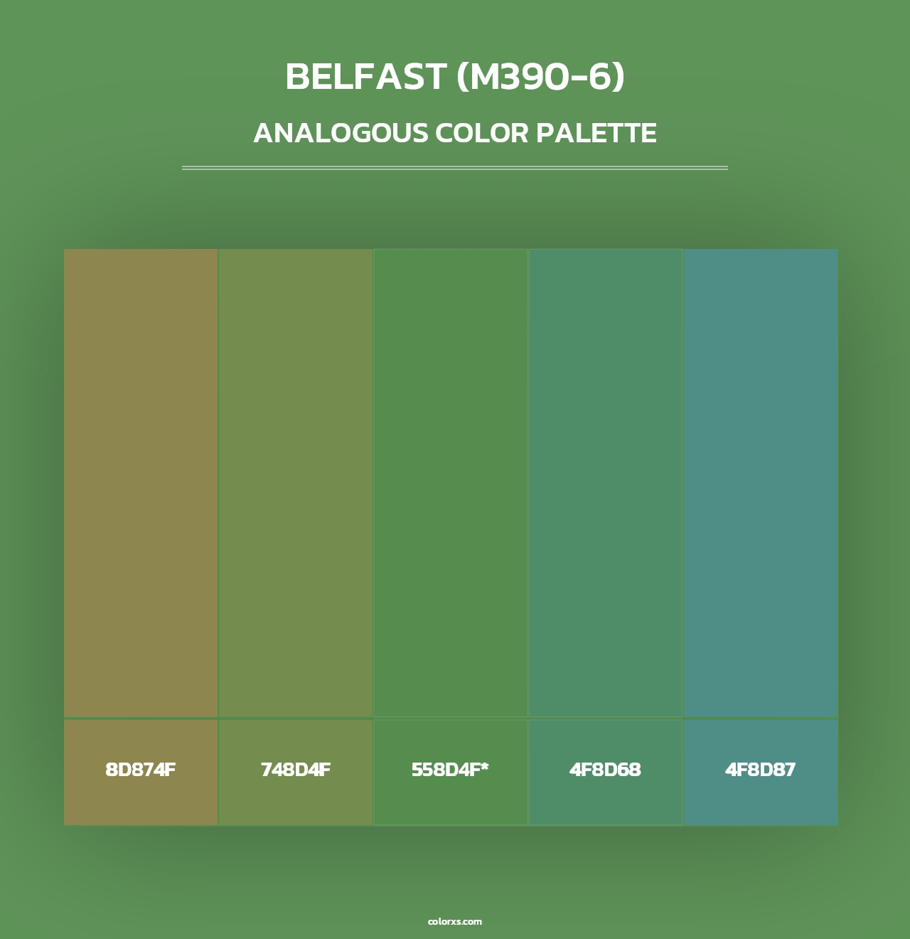 Belfast (M390-6) - Analogous Color Palette