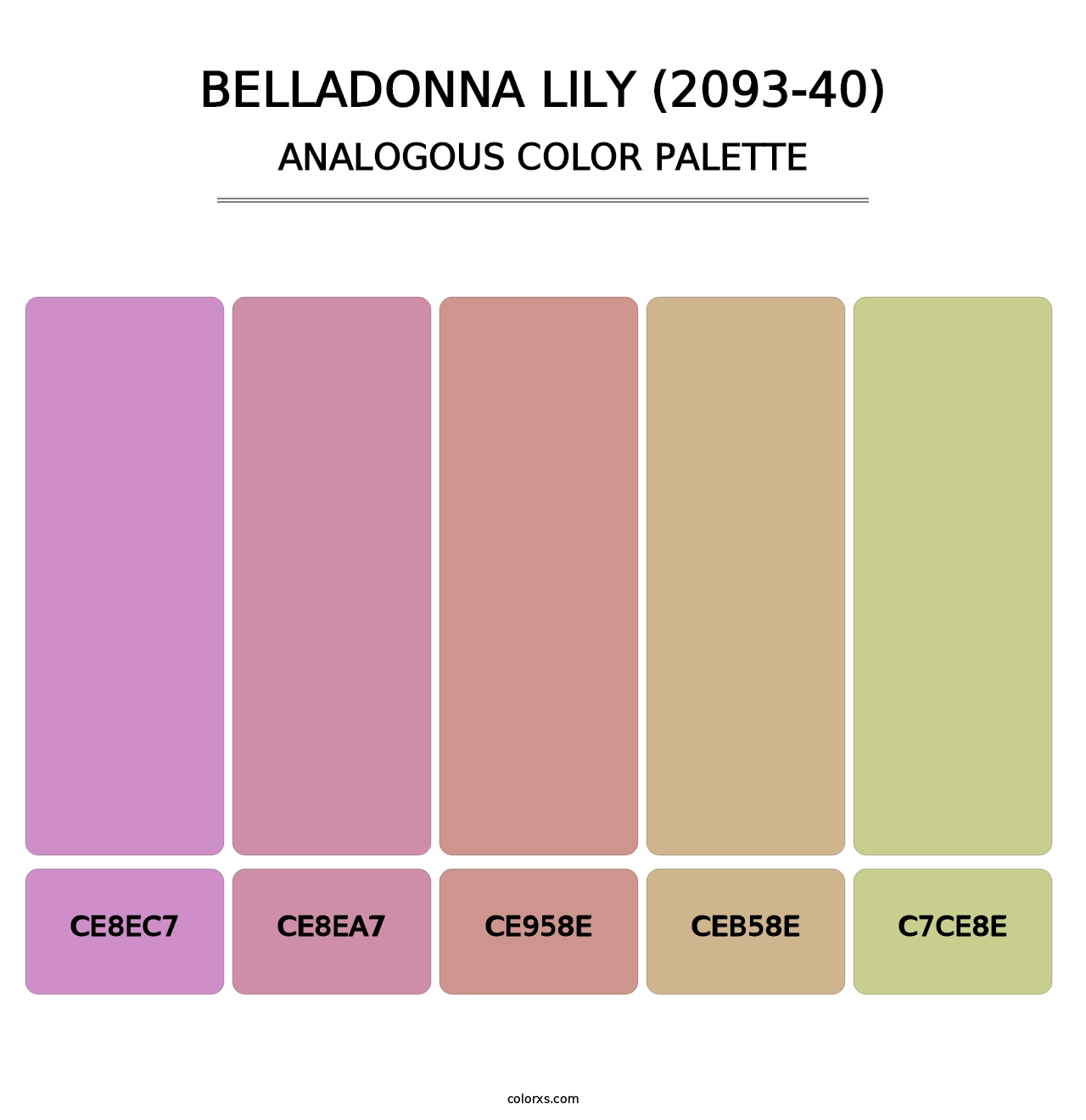 Belladonna Lily (2093-40) - Analogous Color Palette