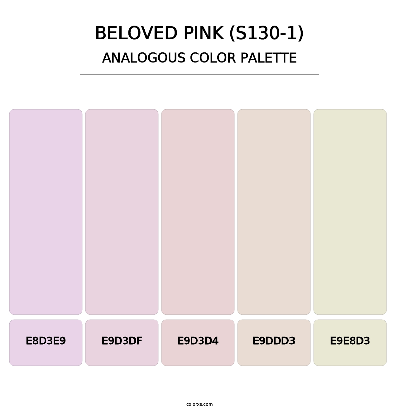 Beloved Pink (S130-1) - Analogous Color Palette