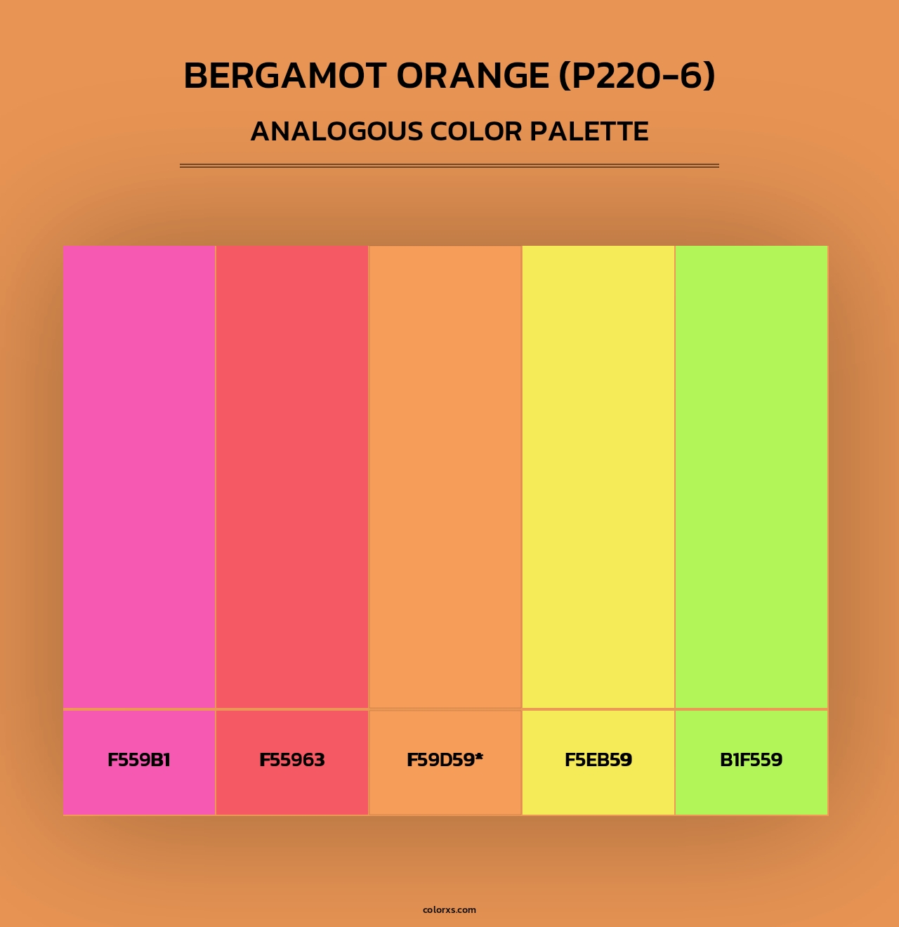 Bergamot Orange (P220-6) - Analogous Color Palette