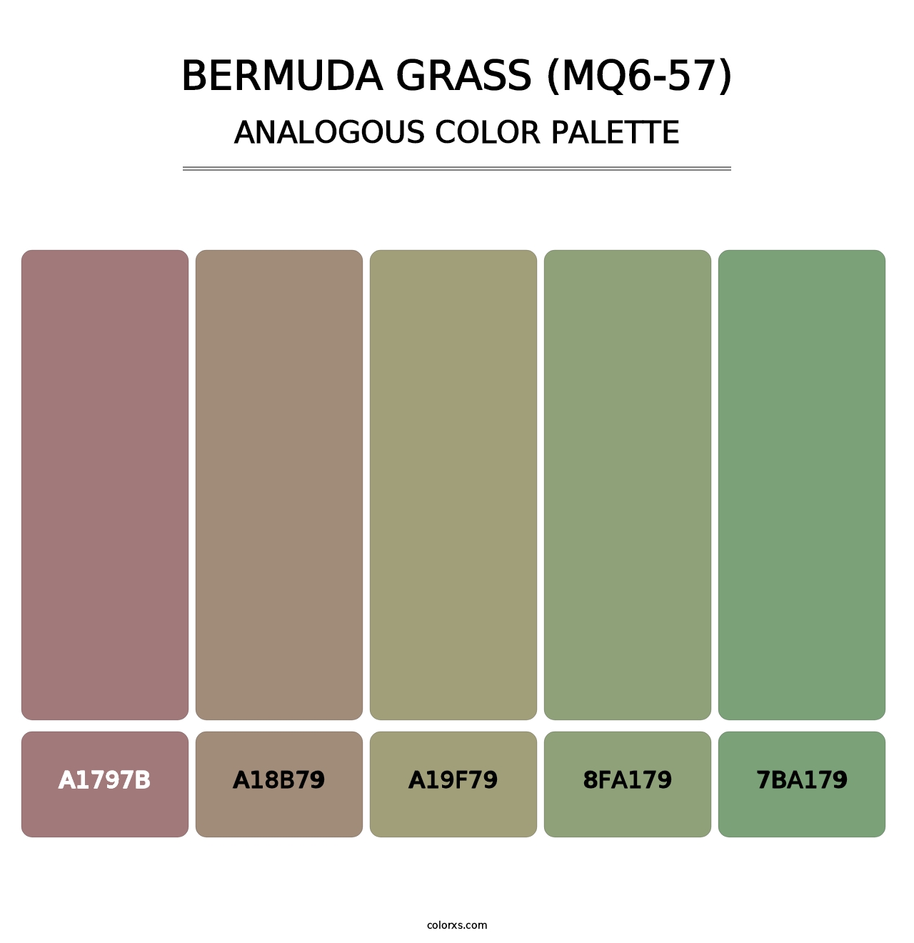 Bermuda Grass (MQ6-57) - Analogous Color Palette