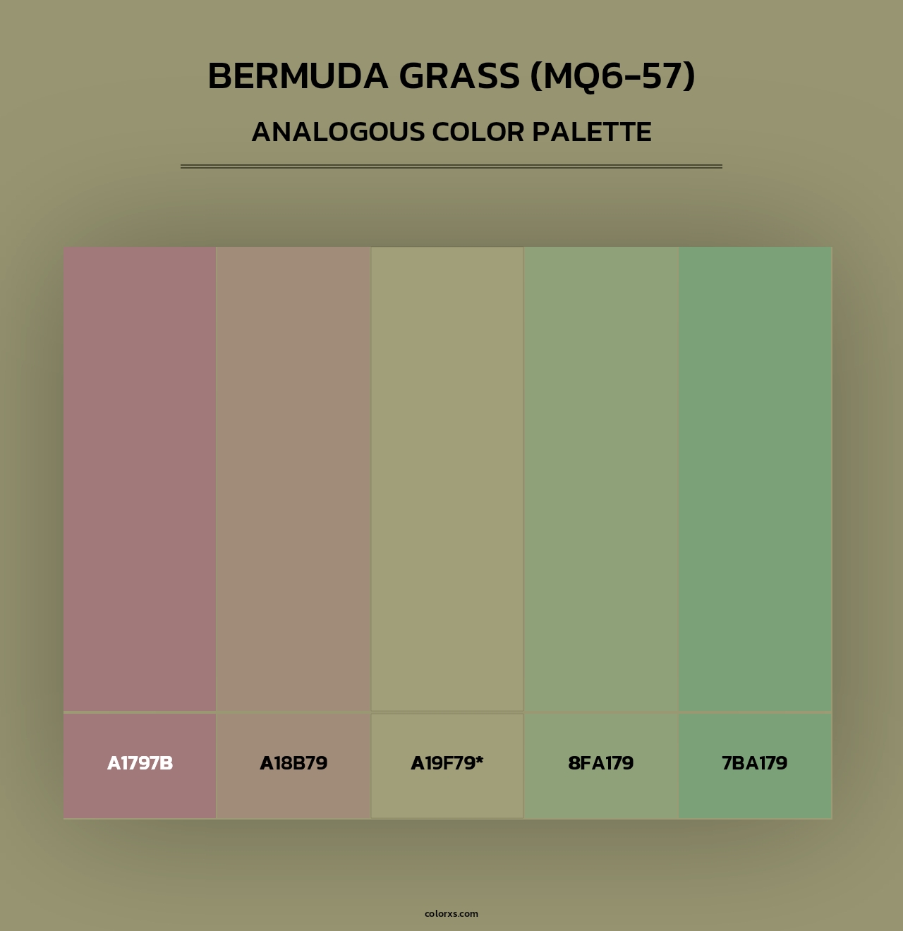 Bermuda Grass (MQ6-57) - Analogous Color Palette