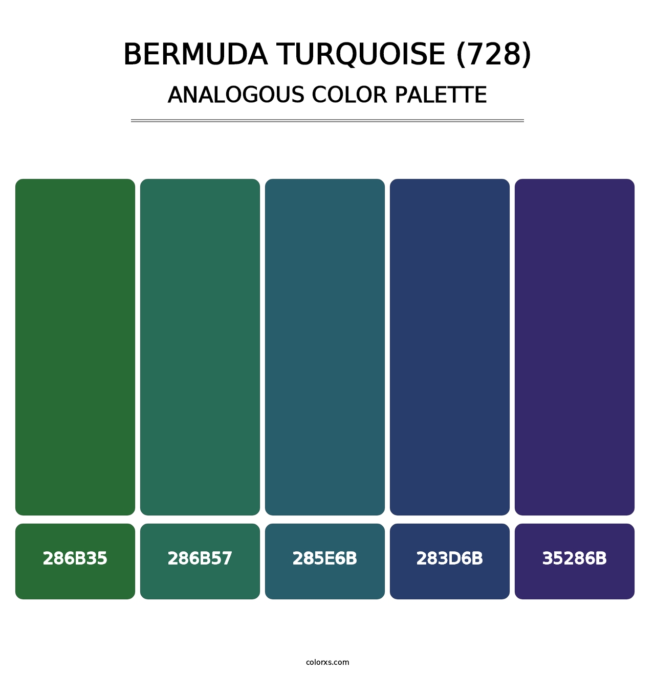 Bermuda Turquoise (728) - Analogous Color Palette