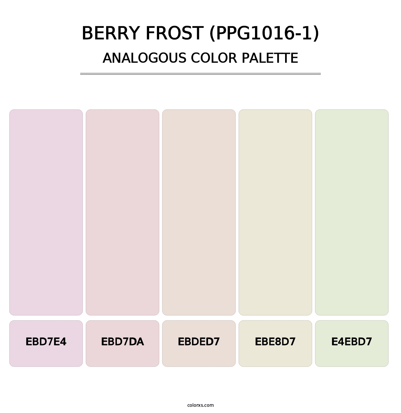 Berry Frost (PPG1016-1) - Analogous Color Palette