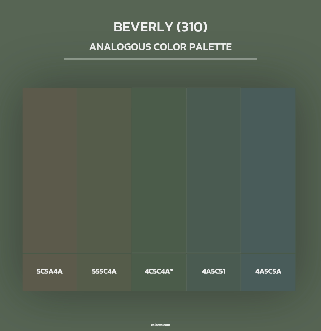 Beverly (310) - Analogous Color Palette