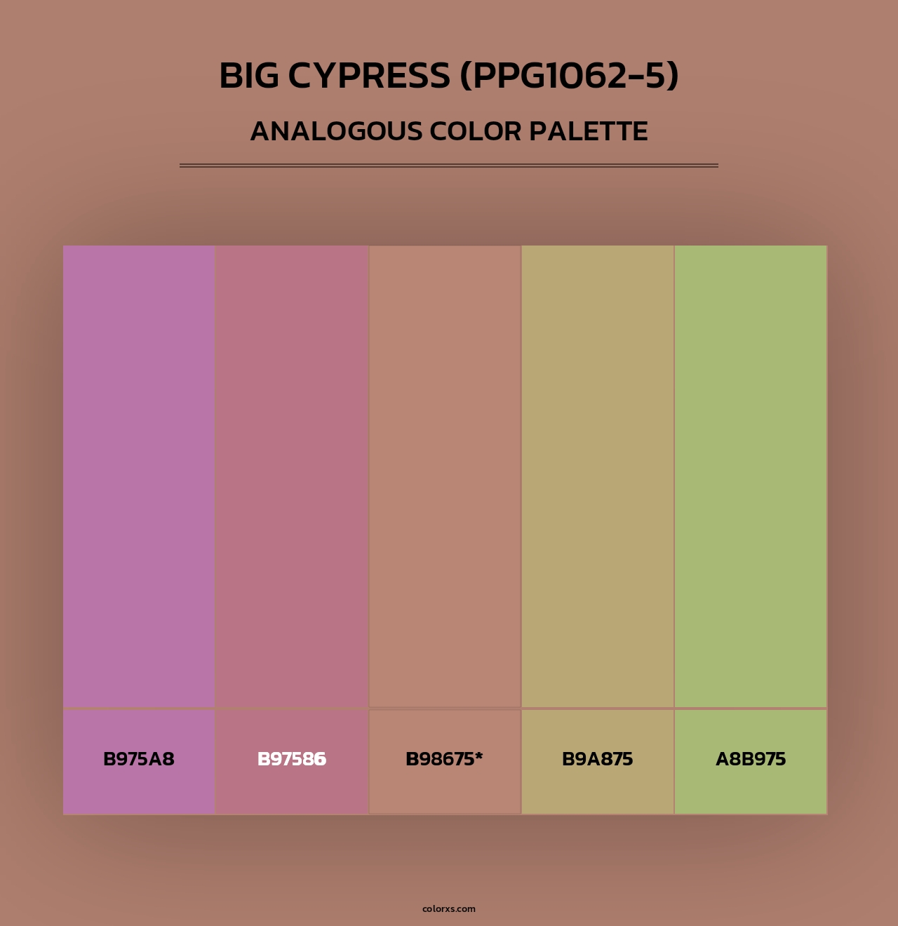 Big Cypress (PPG1062-5) - Analogous Color Palette
