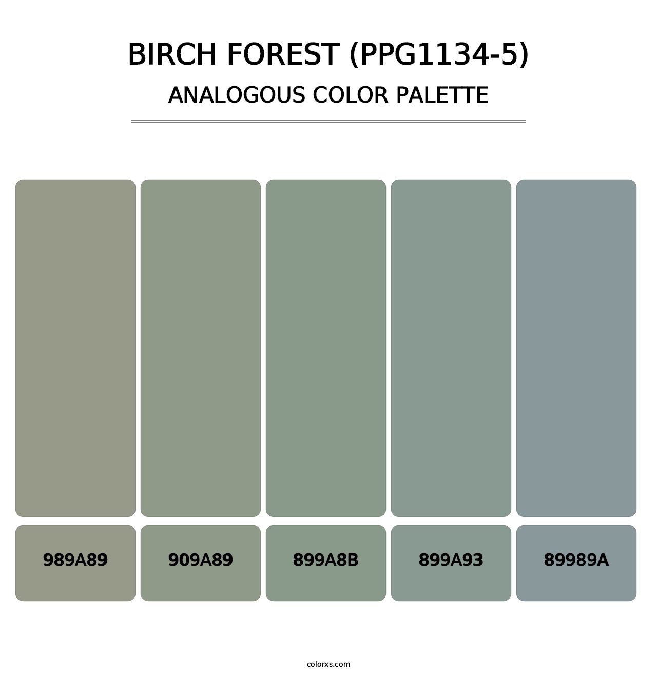 Birch Forest (PPG1134-5) - Analogous Color Palette