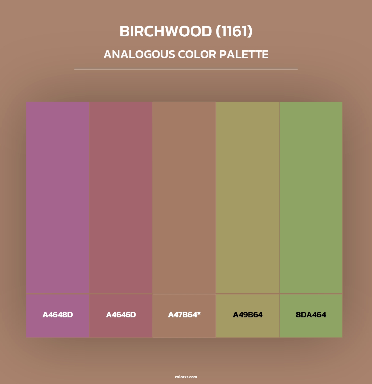 Birchwood (1161) - Analogous Color Palette