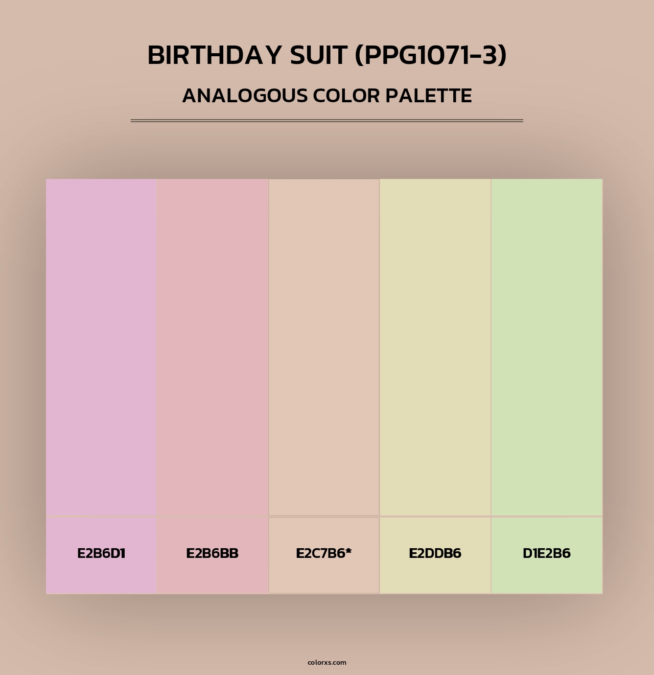 Birthday Suit (PPG1071-3) - Analogous Color Palette