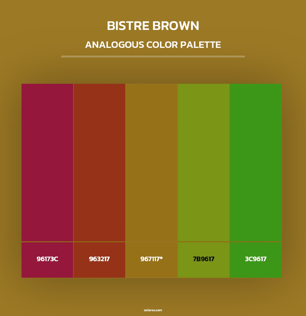 Bistre Brown - Analogous Color Palette