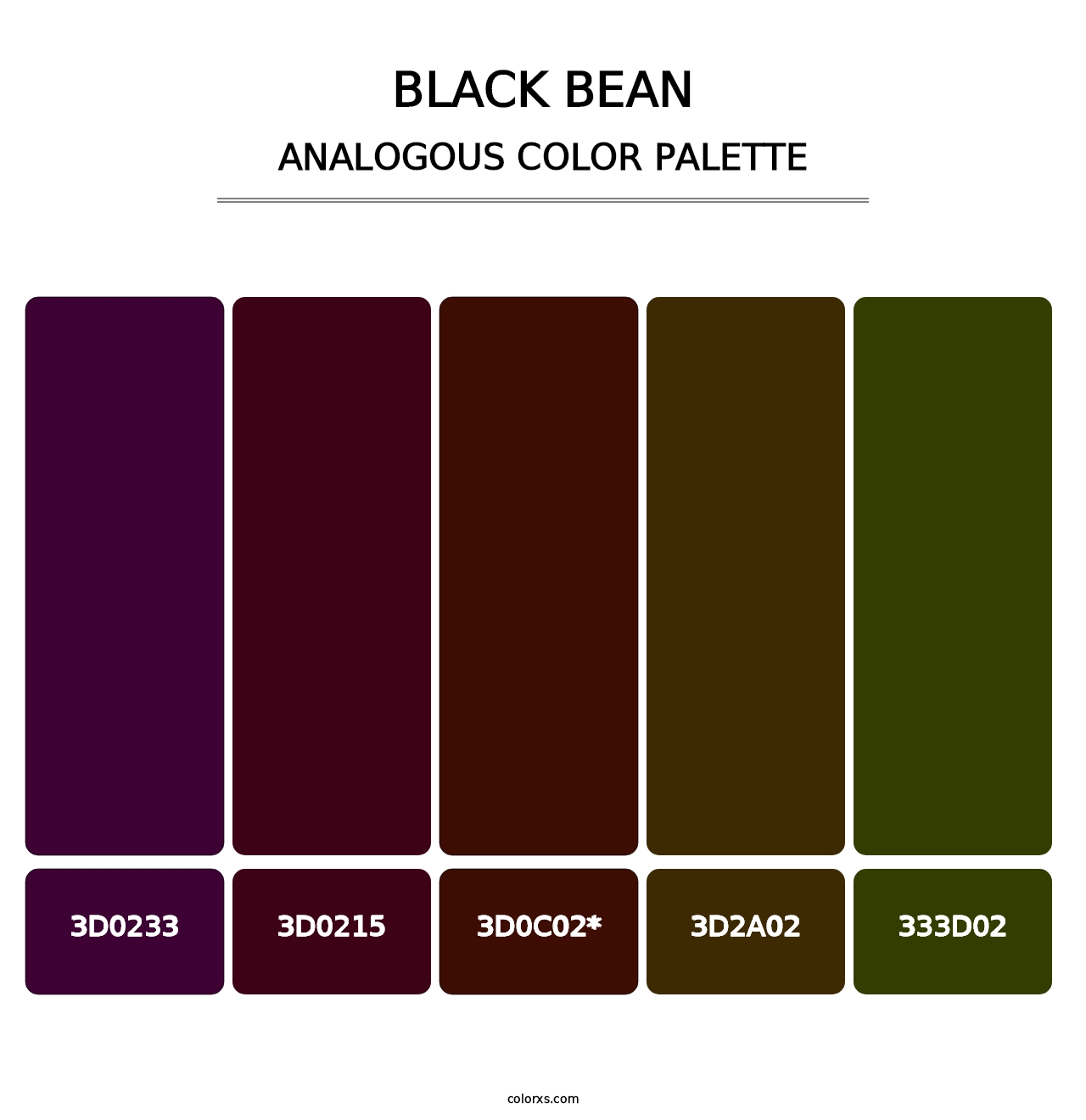 Black Bean - Analogous Color Palette