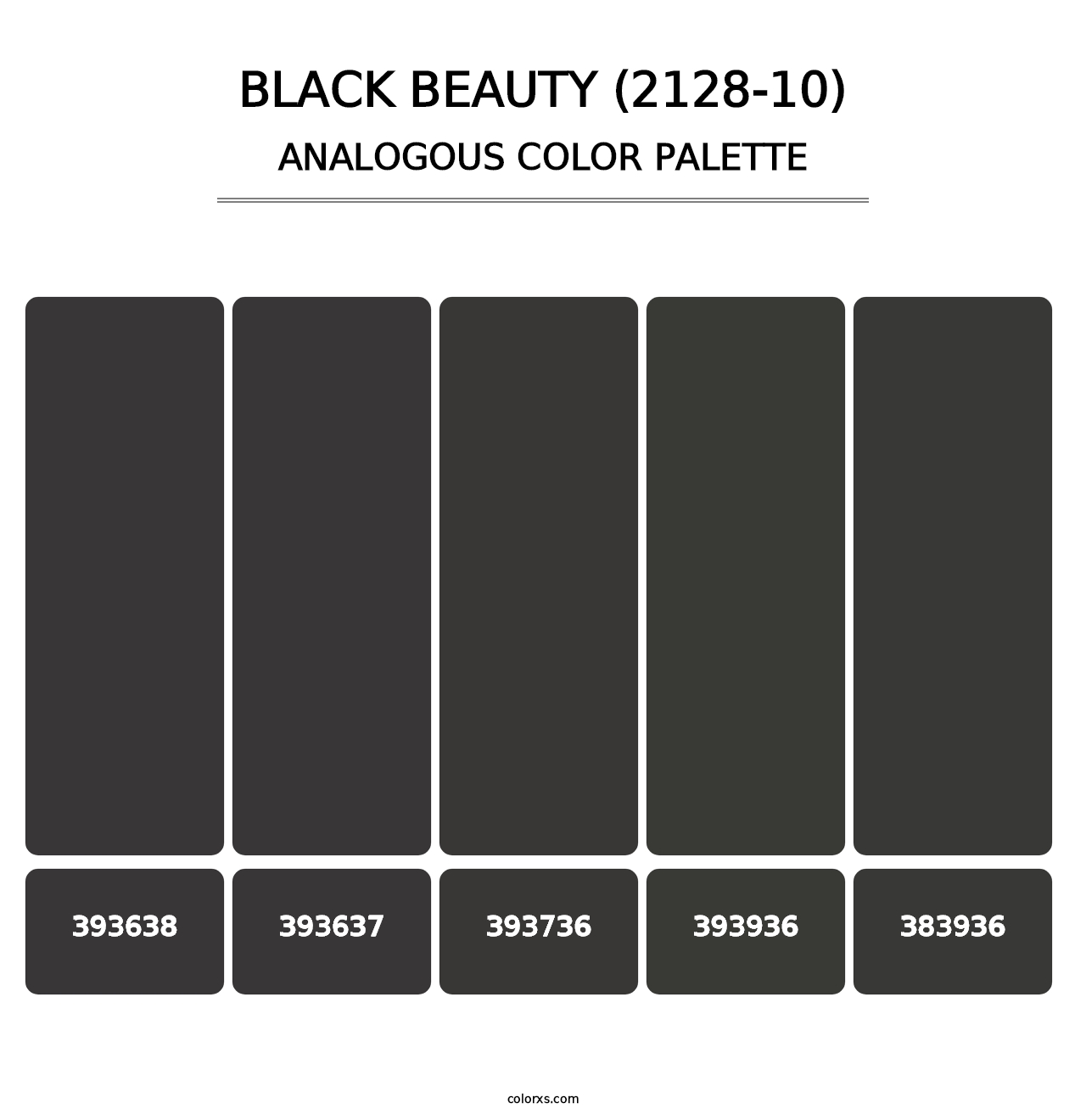 Black Beauty (2128-10) - Analogous Color Palette