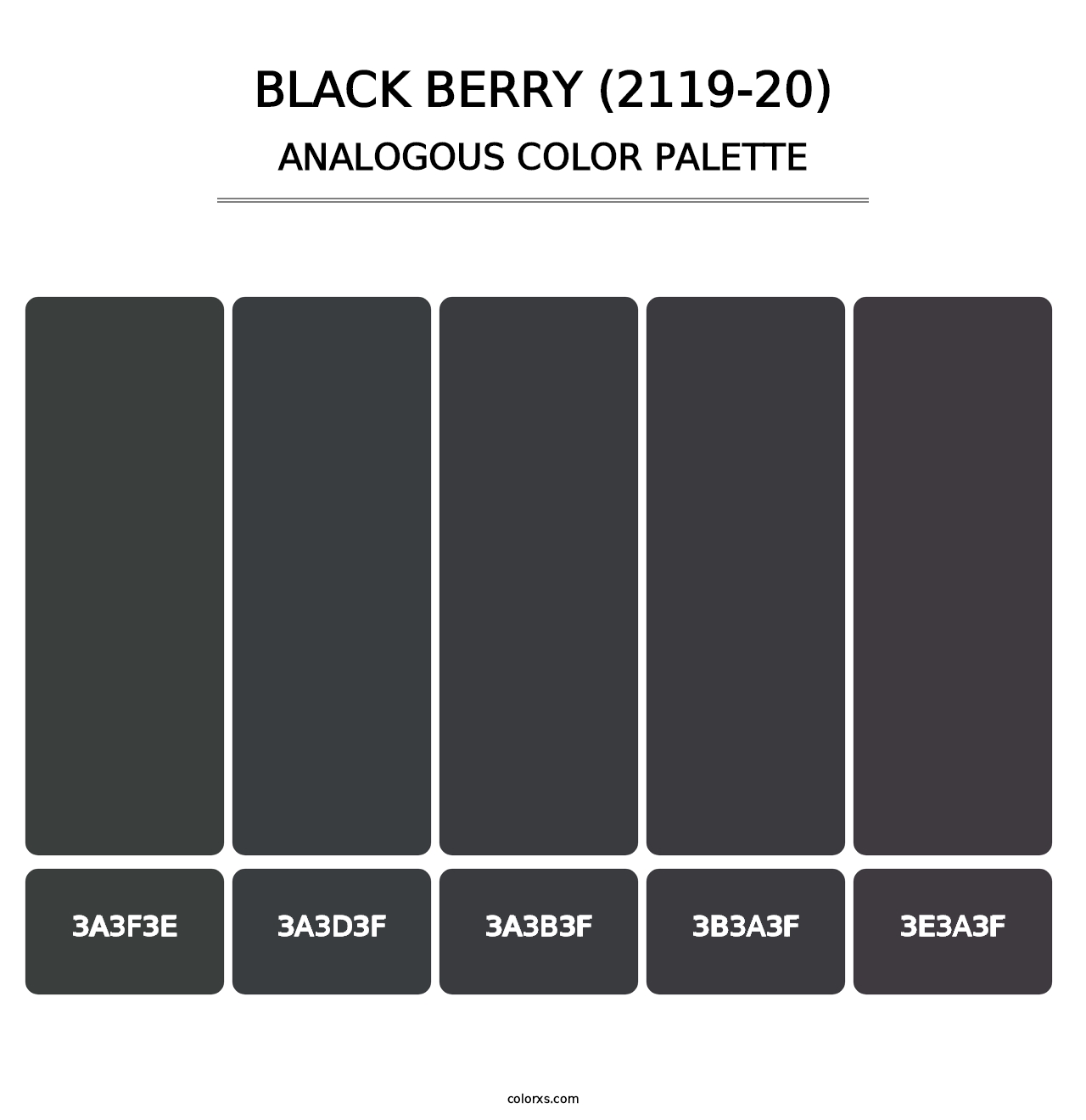 Black Berry (2119-20) - Analogous Color Palette