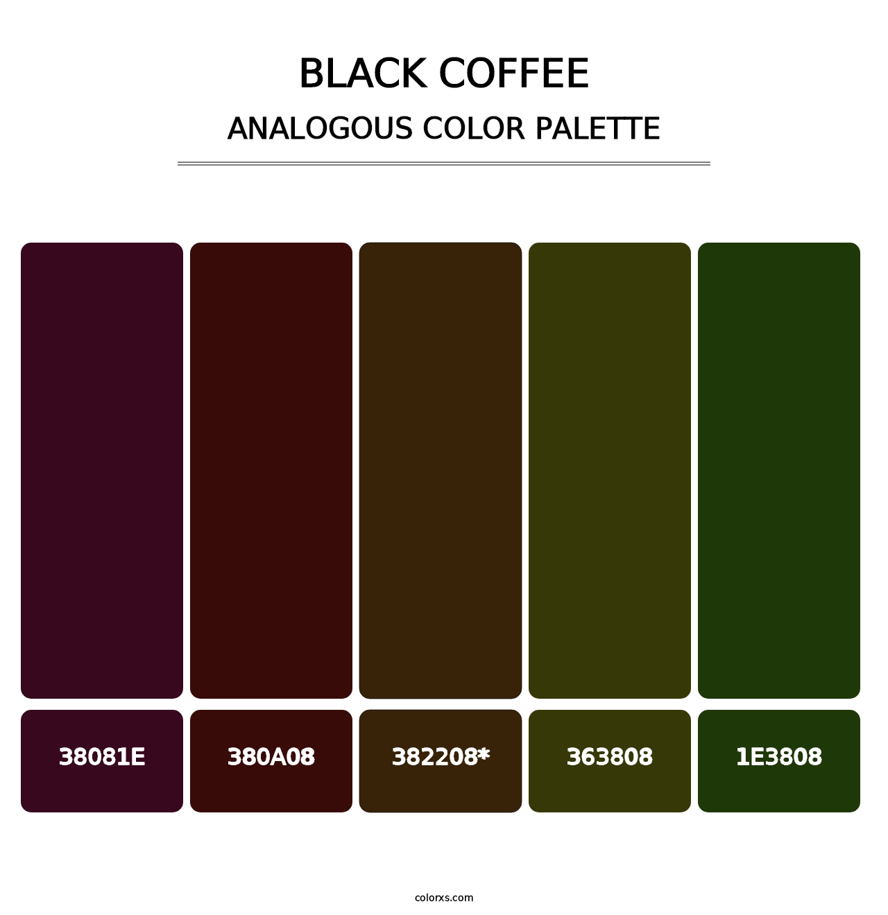 Black Coffee - Analogous Color Palette