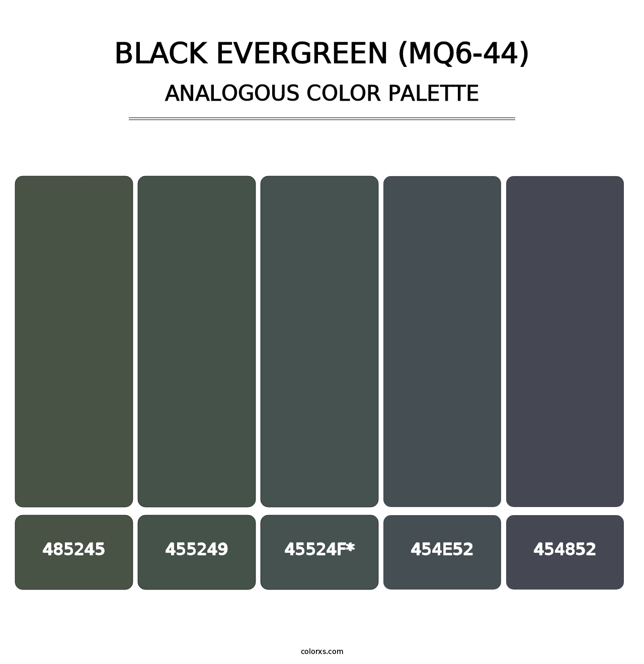Black Evergreen (MQ6-44) - Analogous Color Palette