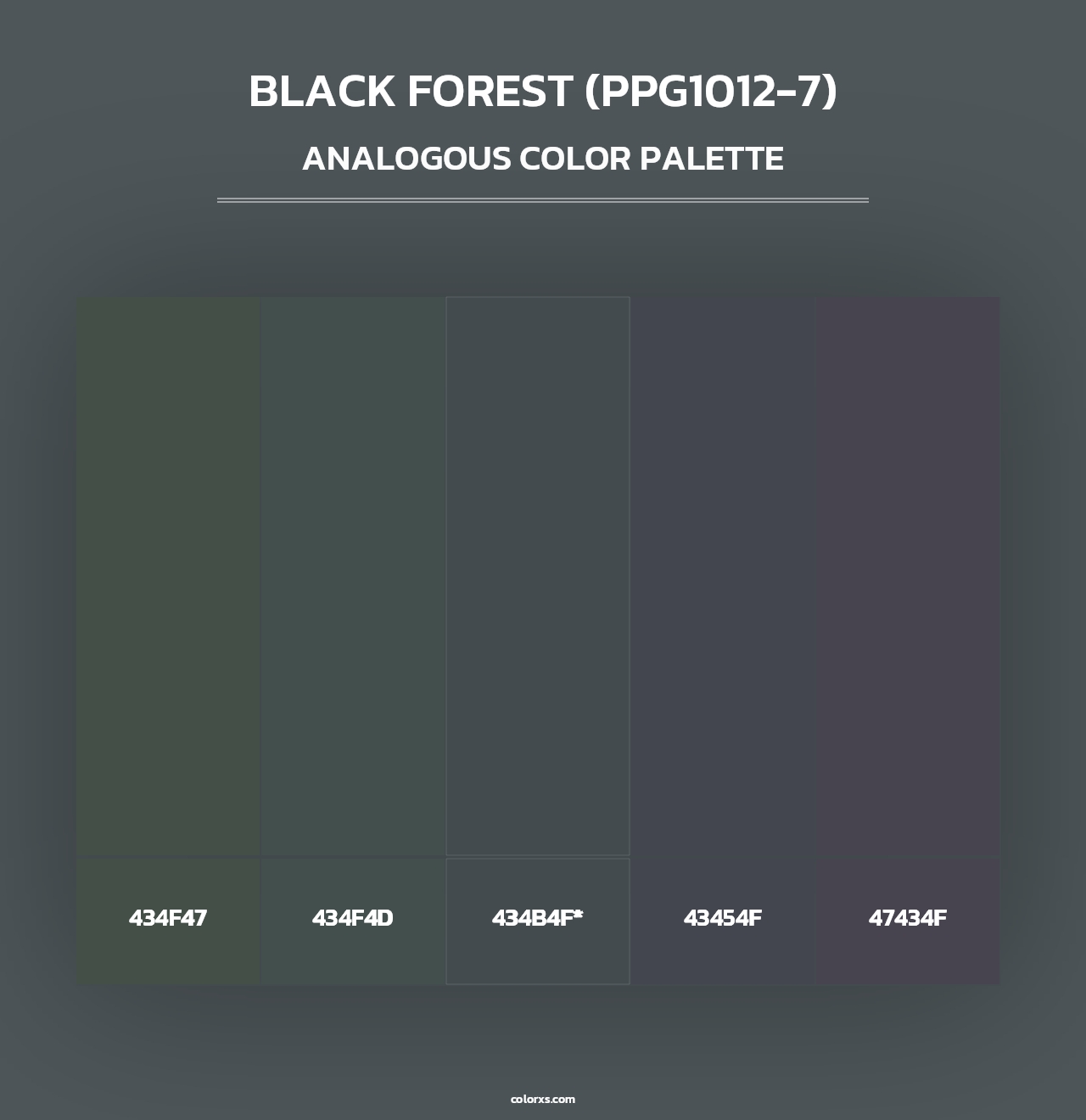 Black Forest (PPG1012-7) - Analogous Color Palette