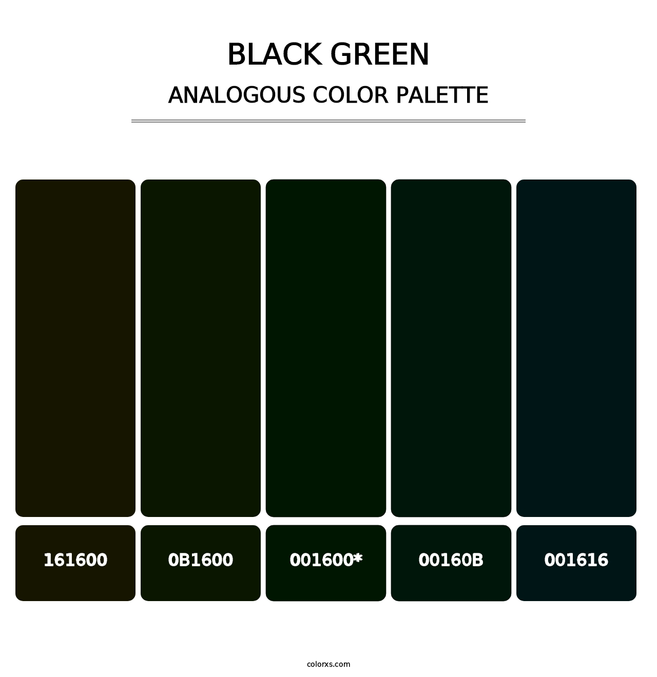 Black Green - Analogous Color Palette