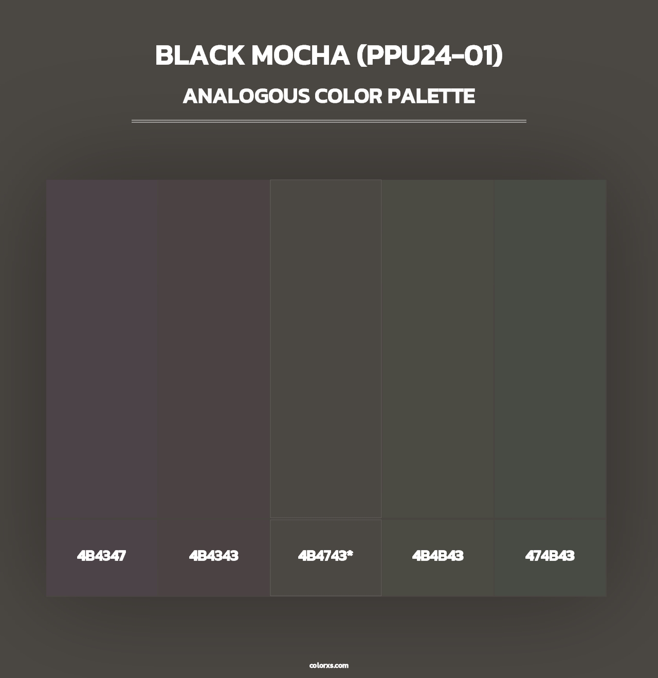 Black Mocha (PPU24-01) - Analogous Color Palette