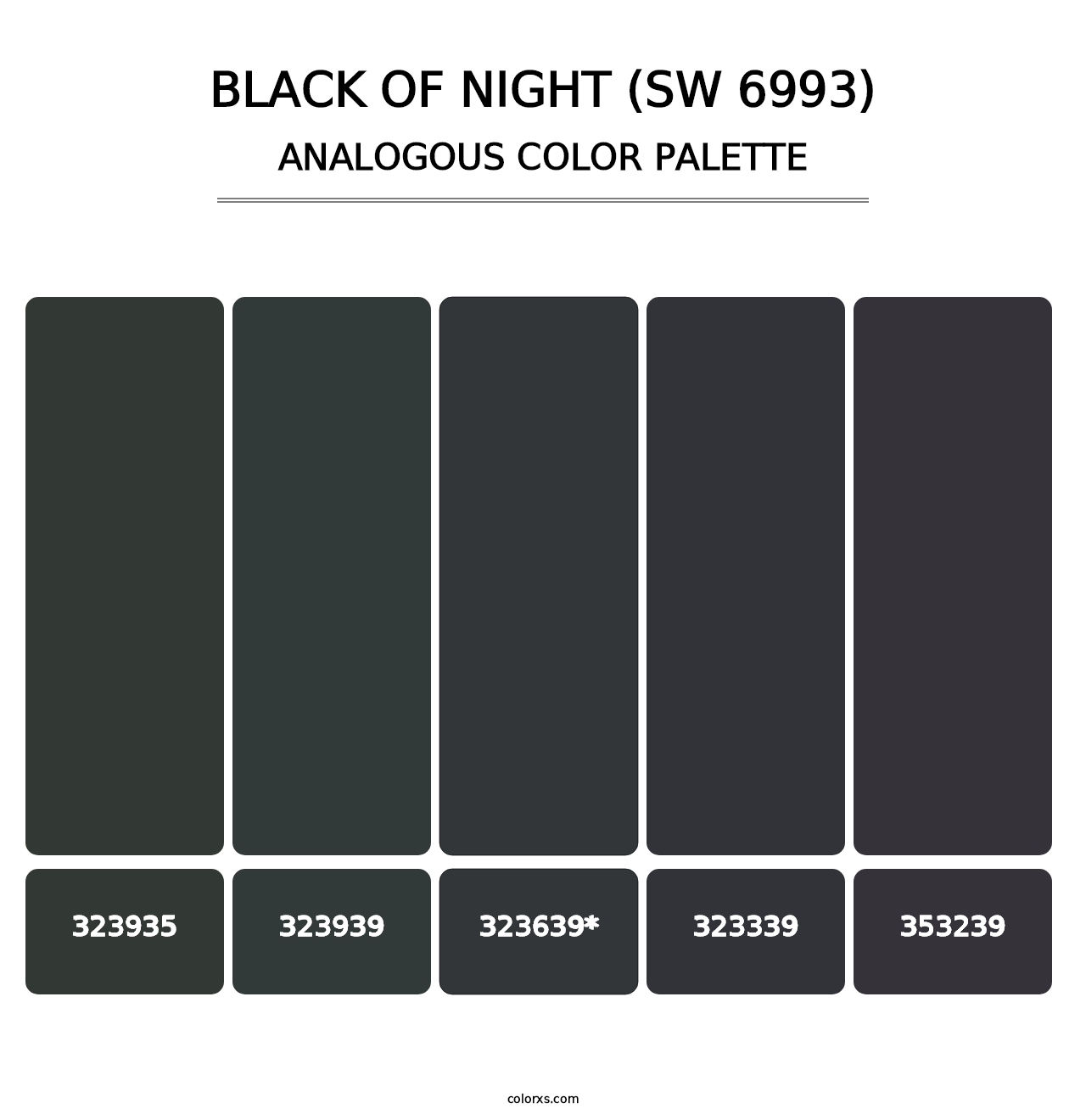 Black of Night (SW 6993) - Analogous Color Palette