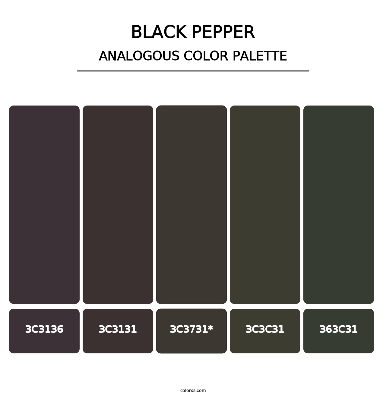 Black Pepper - Analogous Color Palette