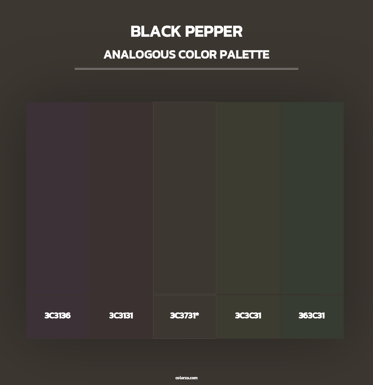 Black Pepper - Analogous Color Palette