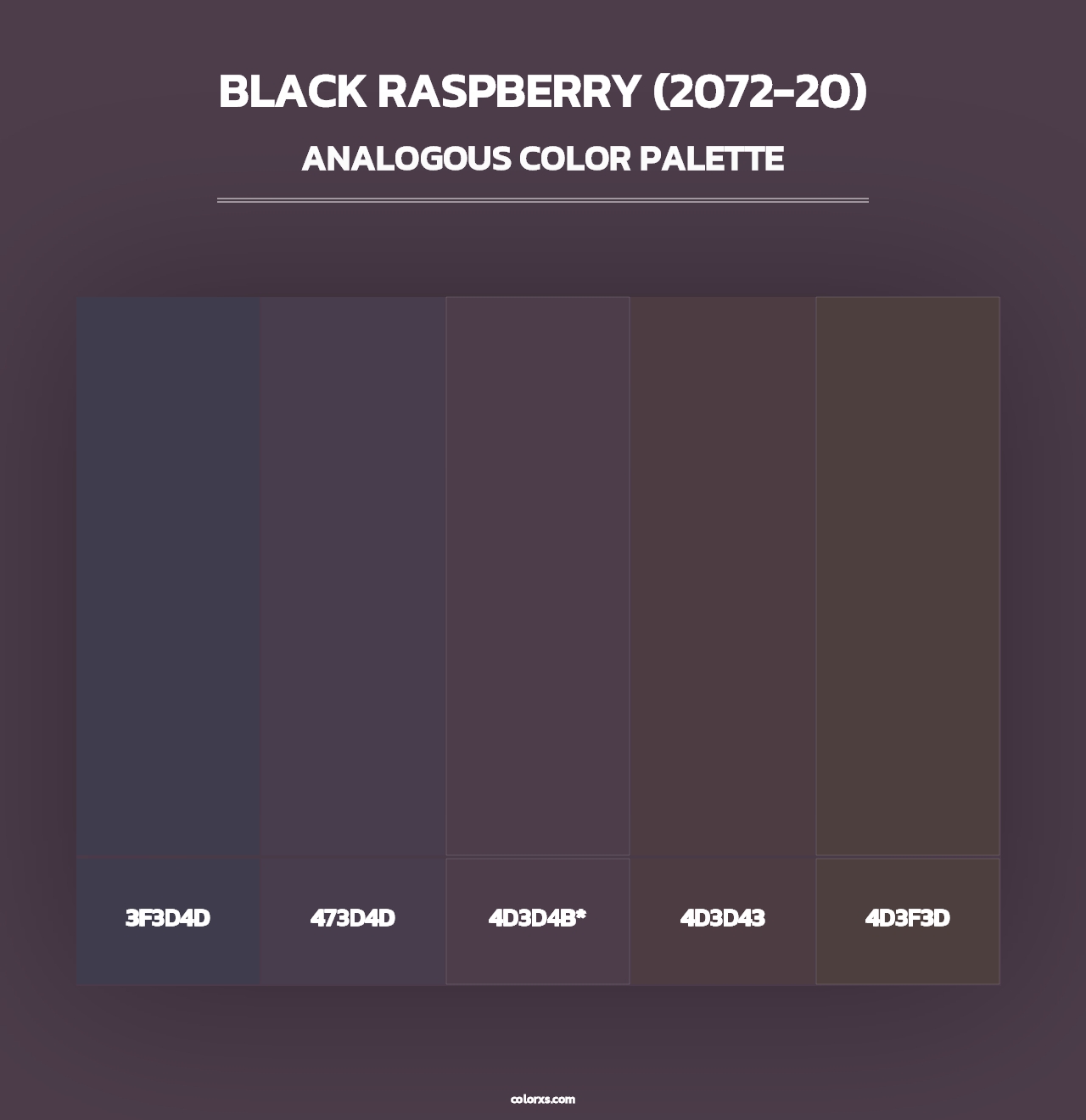 Black Raspberry (2072-20) - Analogous Color Palette