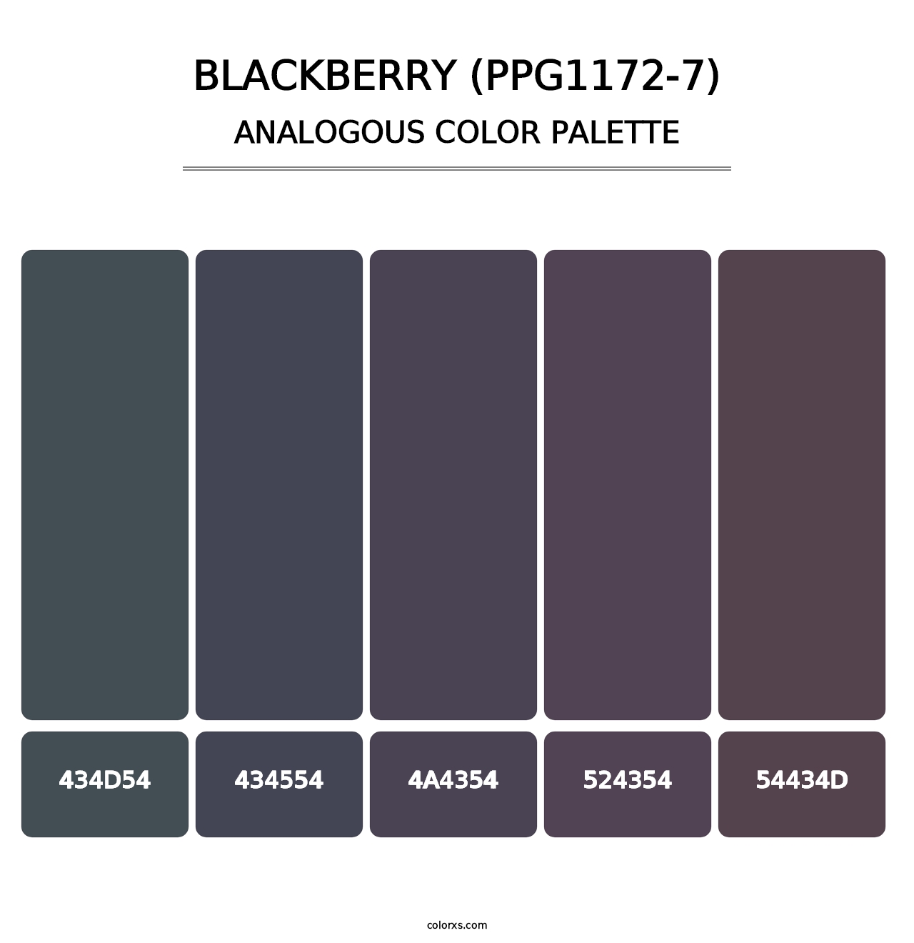 Blackberry (PPG1172-7) - Analogous Color Palette