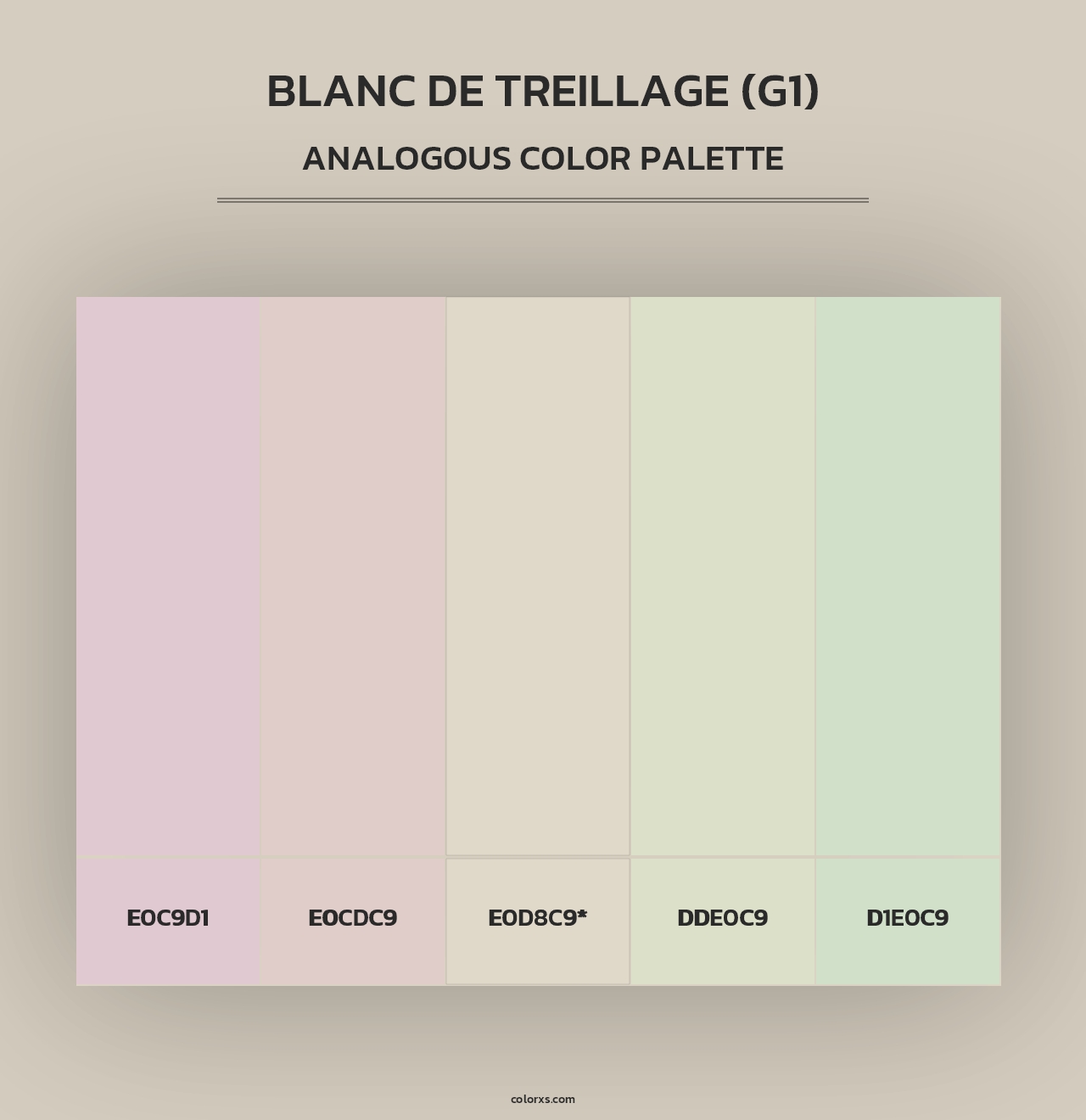 Blanc De Treillage (G1) - Analogous Color Palette