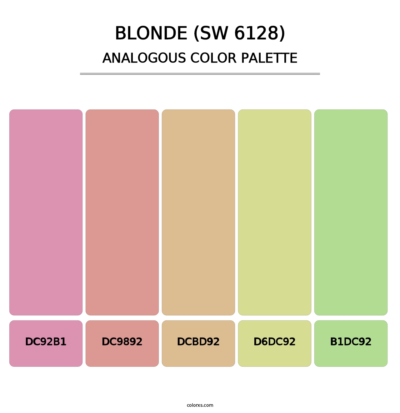 Blonde (SW 6128) - Analogous Color Palette