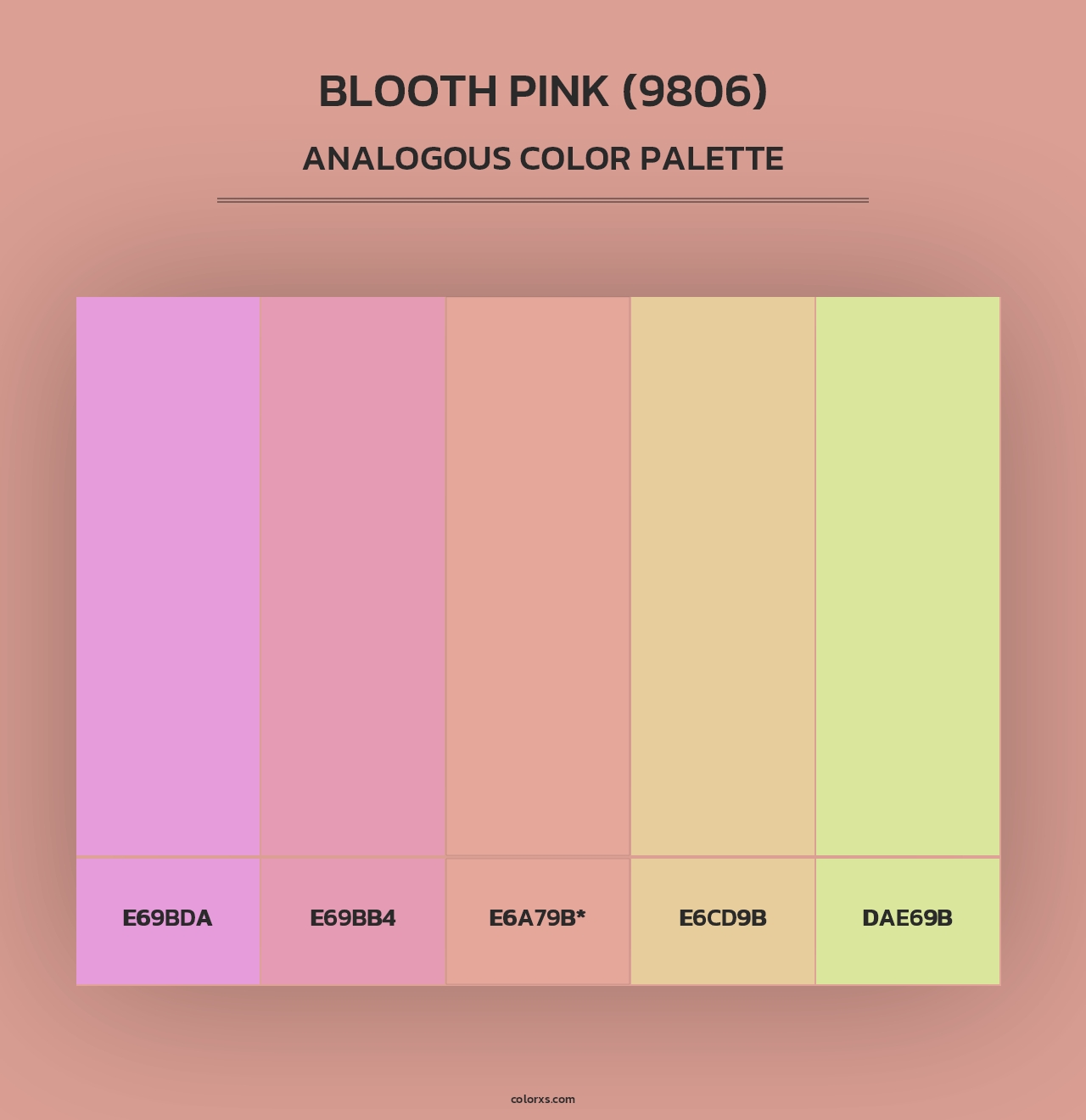 Blooth Pink (9806) - Analogous Color Palette