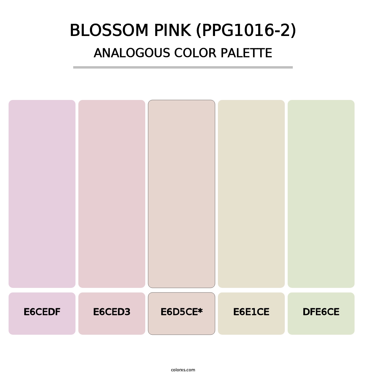 Blossom Pink (PPG1016-2) - Analogous Color Palette