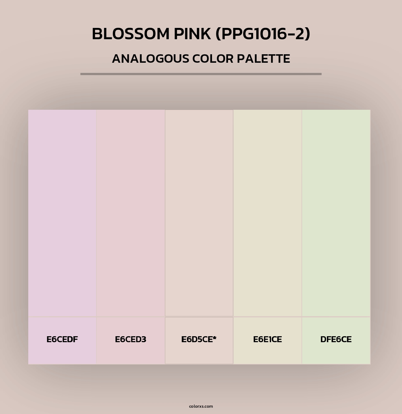 Blossom Pink (PPG1016-2) - Analogous Color Palette