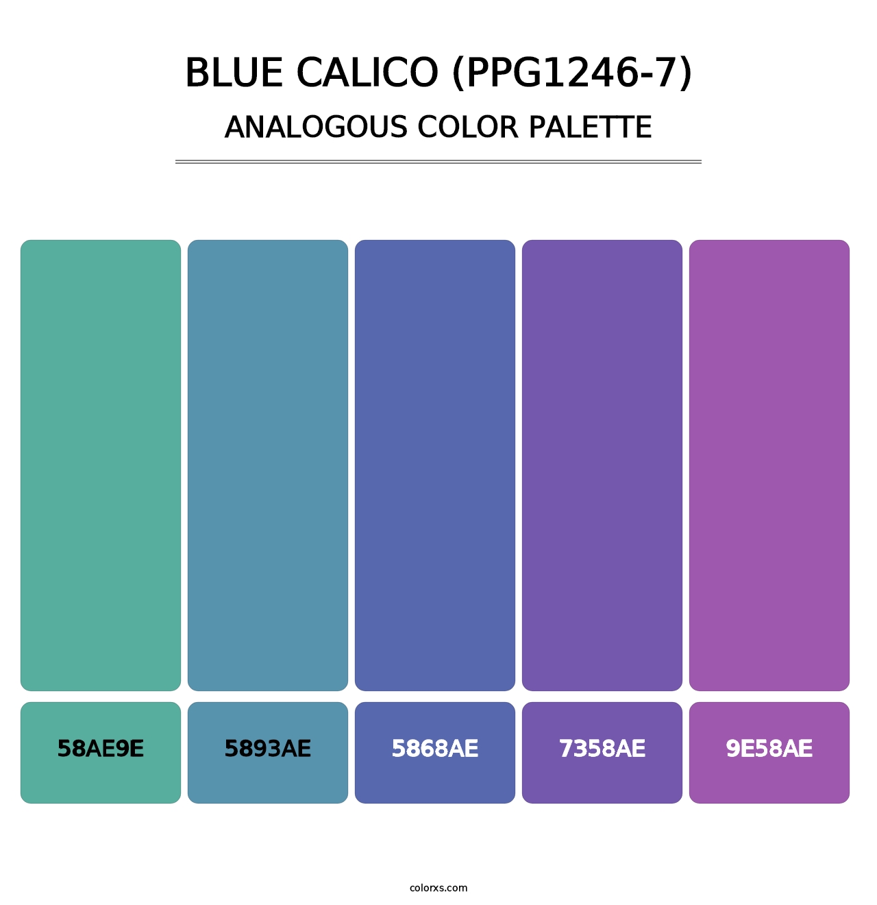Blue Calico (PPG1246-7) - Analogous Color Palette