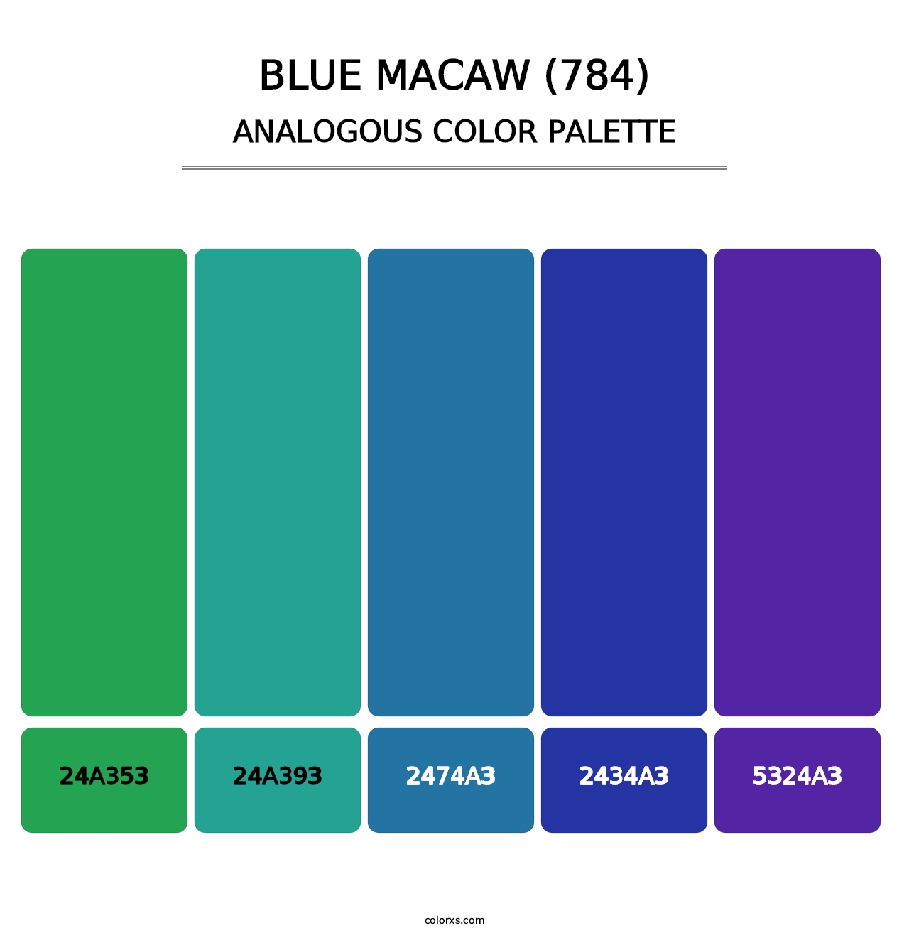 Blue Macaw (784) - Analogous Color Palette