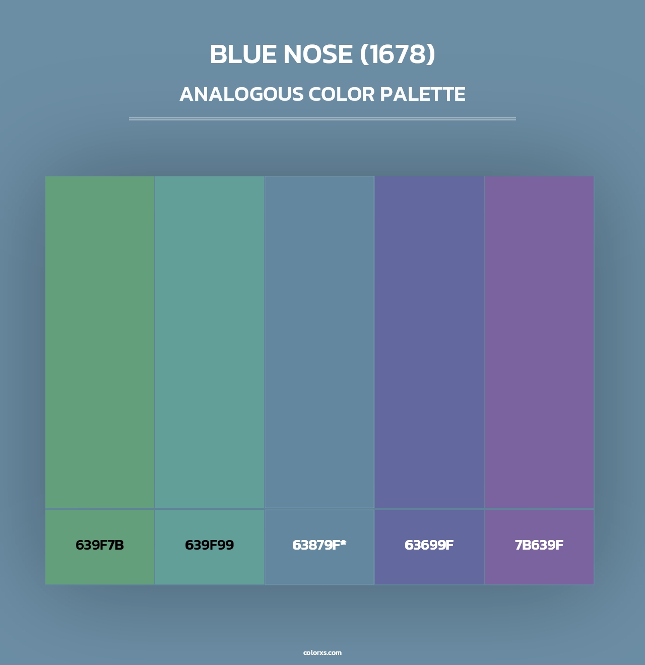 Blue Nose (1678) - Analogous Color Palette