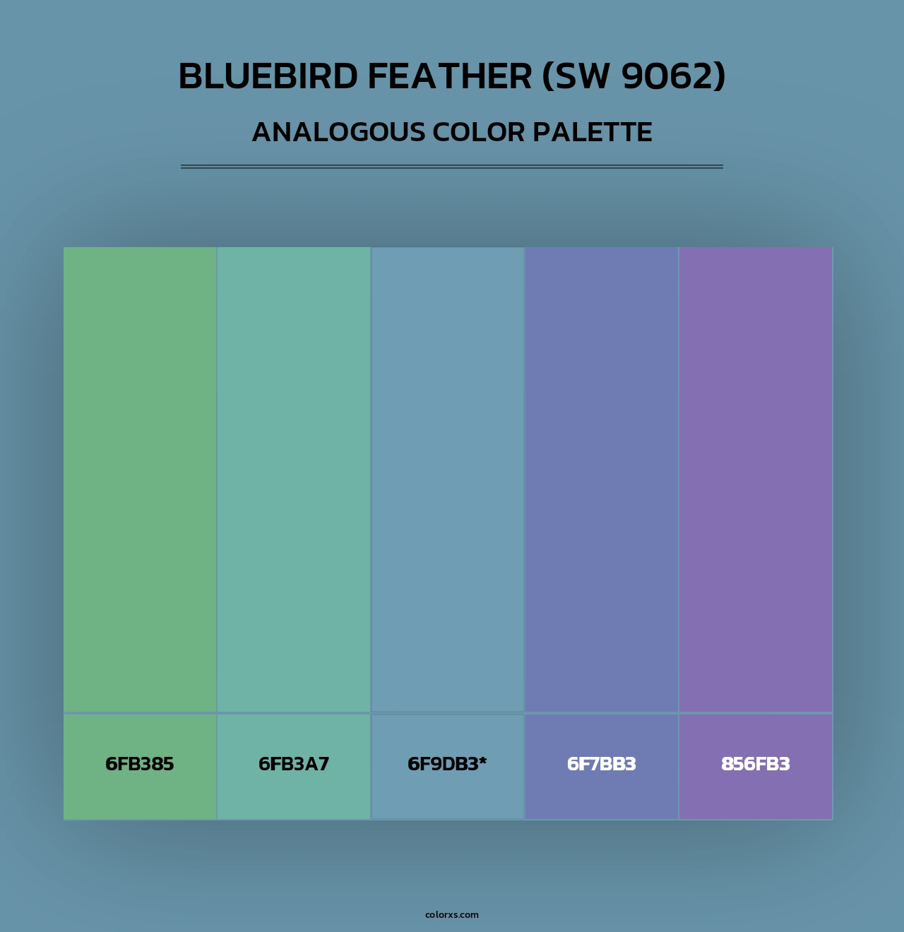 Bluebird Feather (SW 9062) - Analogous Color Palette