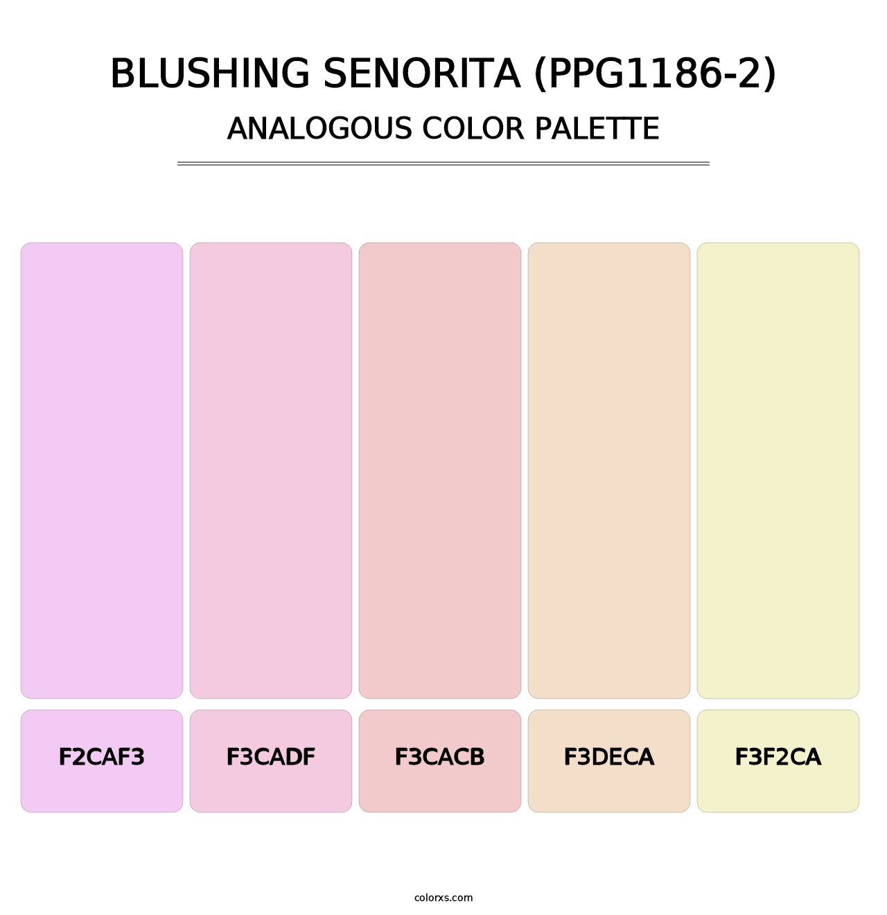 Blushing Senorita (PPG1186-2) - Analogous Color Palette