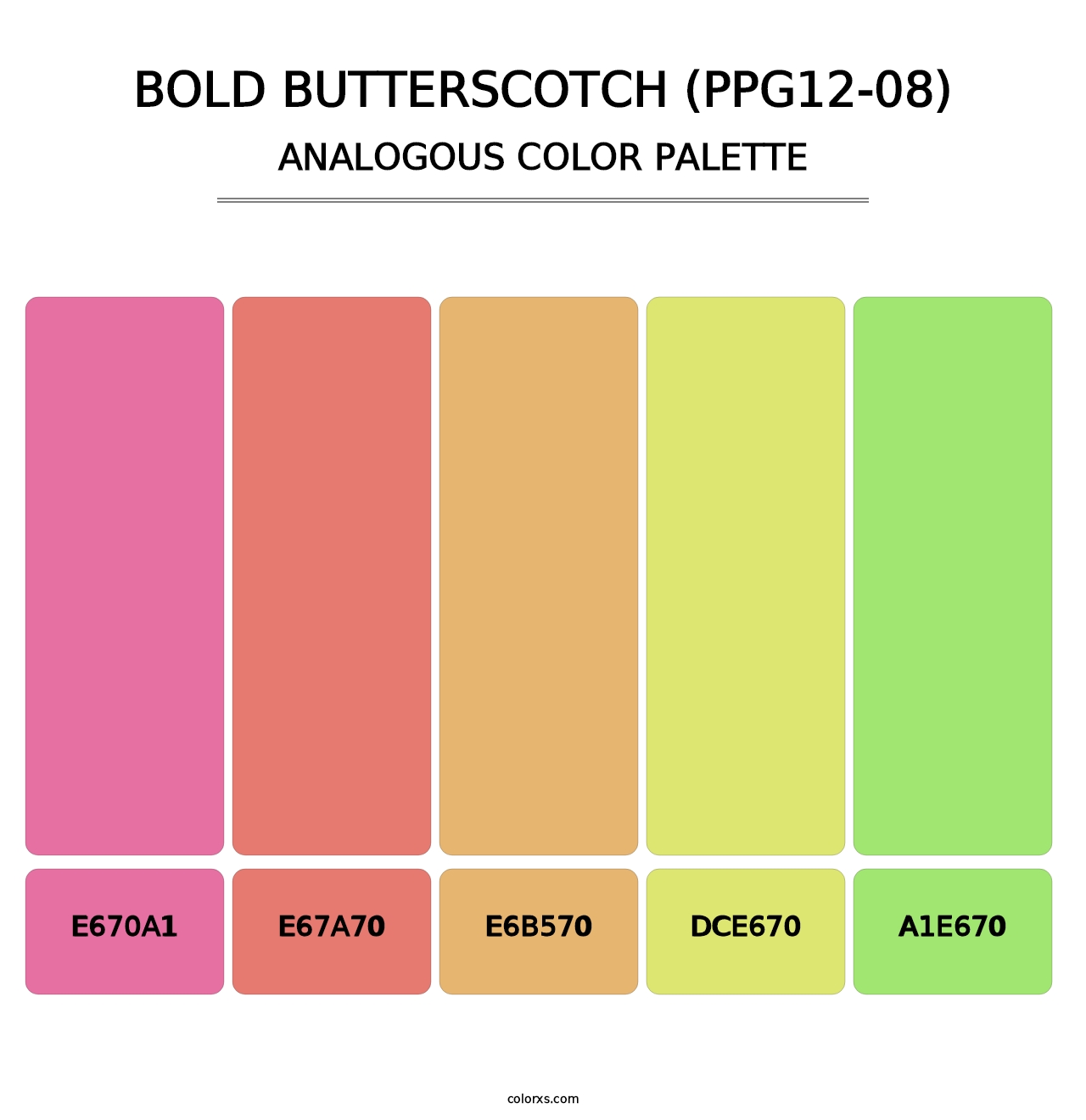 Bold Butterscotch (PPG12-08) - Analogous Color Palette