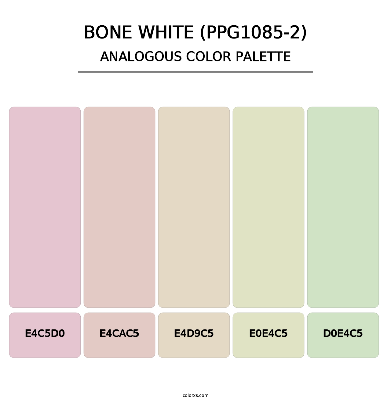 Bone White (PPG1085-2) - Analogous Color Palette